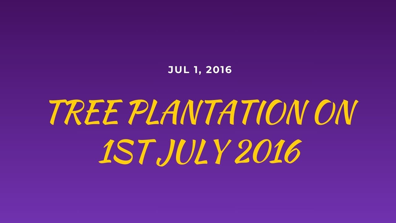 TREE PLANTATION ON 1ST JULY 2016